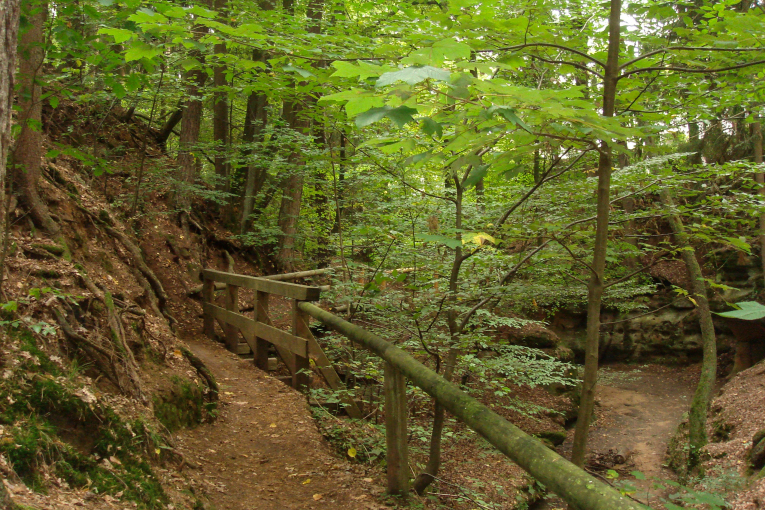 Bitterbachschlucht_4_Sonja_Poehland