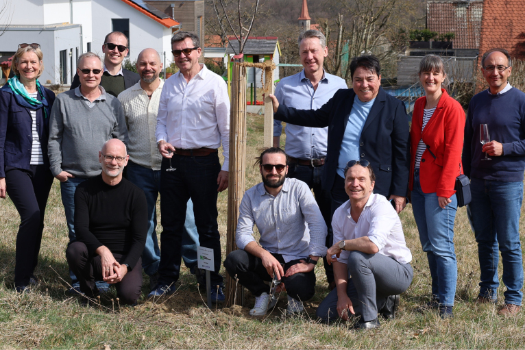 Beerbach Bäume Woelfel Foto 2 Beerbach Bäume Woelfel Foto 2