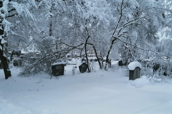 Friedhof Schnee Astbruch 27. Januar 2026