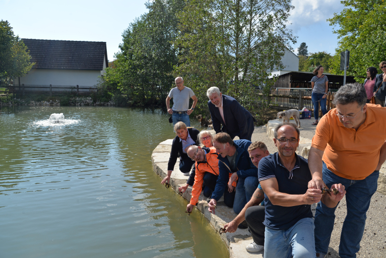 Beerbacher Teich Kirchmayer