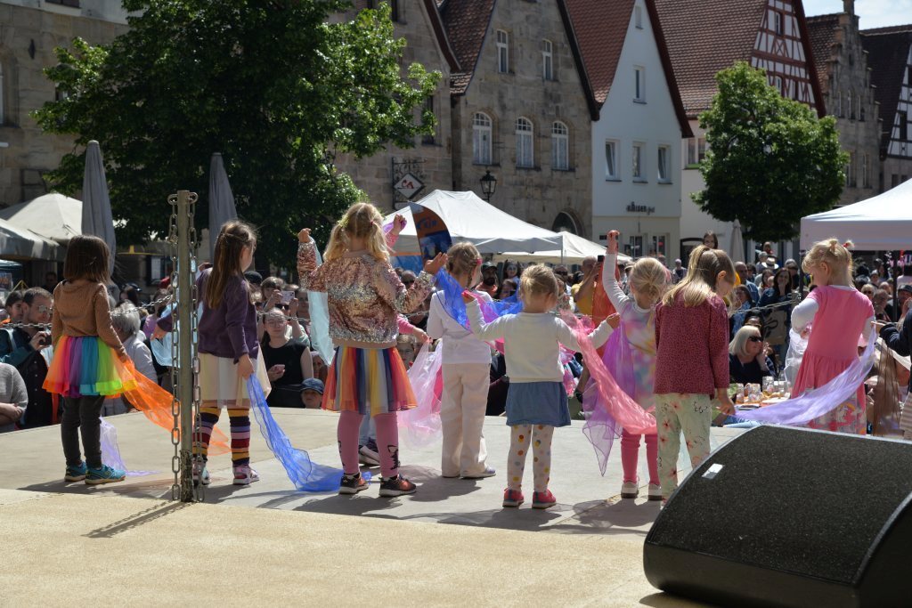 Fest der Nationen 2025 - Gelebte Vielfalt in der Altstadt_08