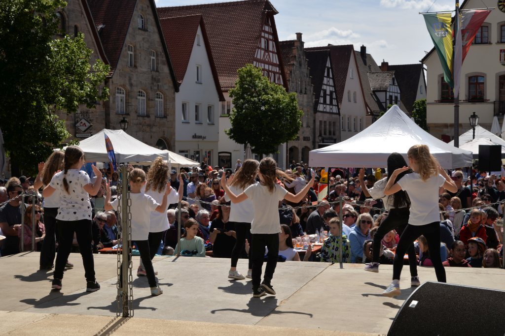 Fest der Nationen 2025 - Gelebte Vielfalt in der Altstadt_09