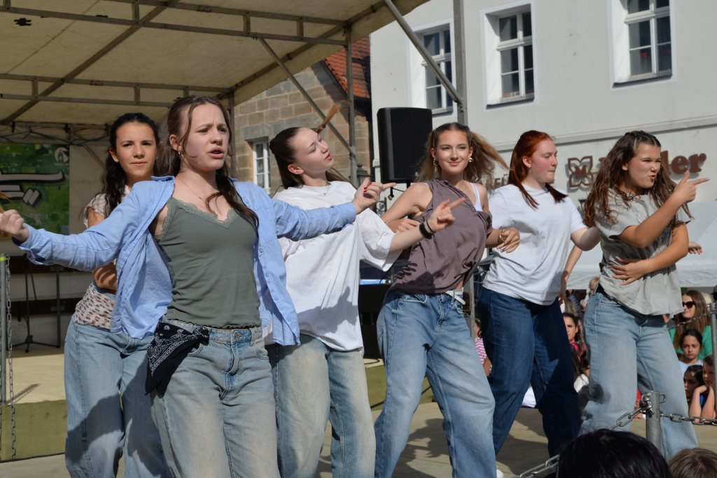 Fest der Nationen 2025 - Gelebte Vielfalt in der Altstadt_29
