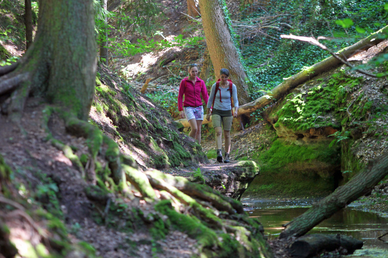 20150628_Bitterbach0016a 20150628_Bitterbach0016a