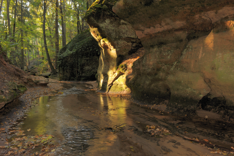 bitterbachschlucht-lauf-_c_bernd-hoelzel