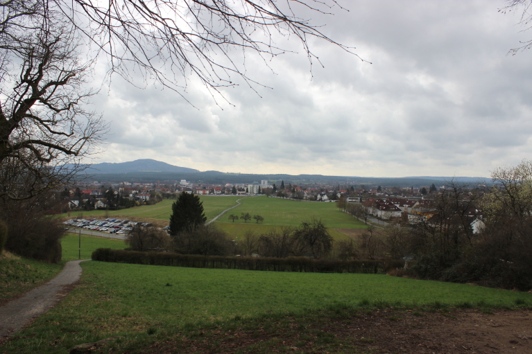 Blick vom Kunigundenberg auf Lauf.