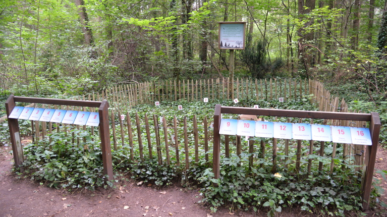 Spielplatz Kotzenhof