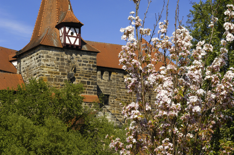 Wenzelburg im Frühling